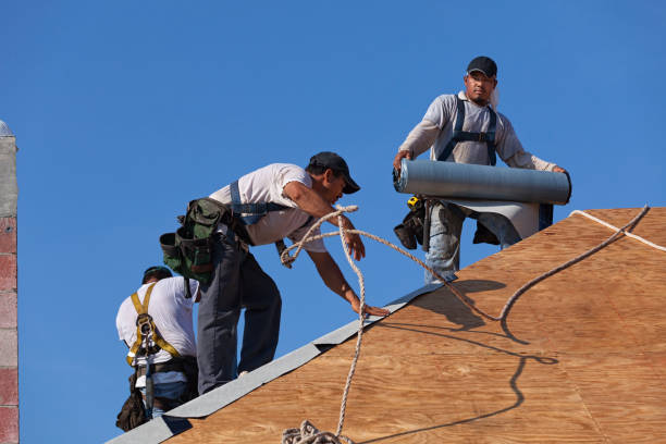 Best Metal Roofing Contractor  in Forsyth, GA